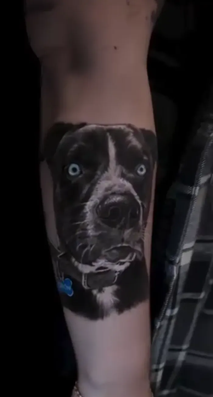 Pitbull — Black & gray tatuaje por Amed Cid