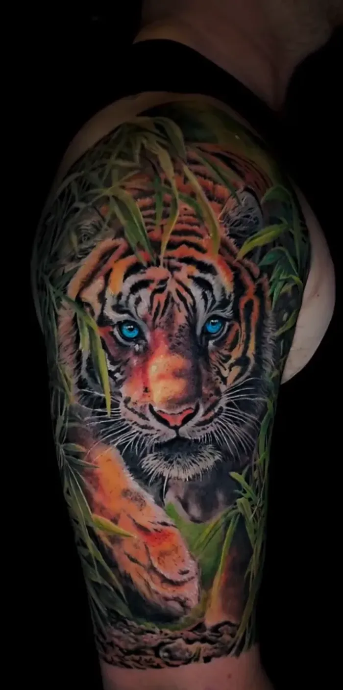 Tiger — Color tatuaje por Amed Cid